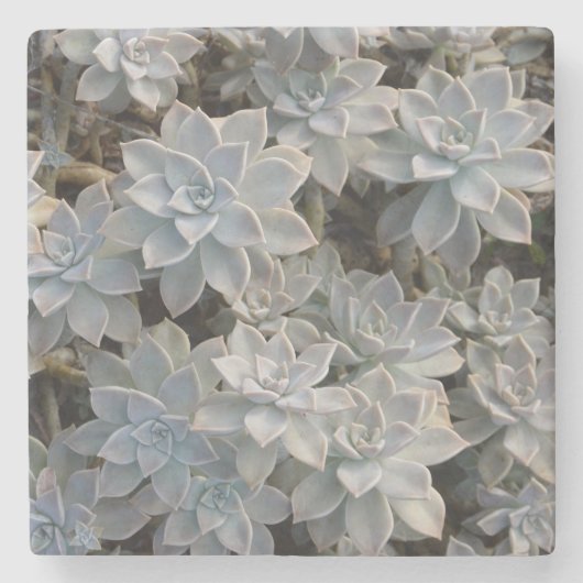 Succulent Botanische Natuurlijke Stenen Onderzetter (Voorkant)