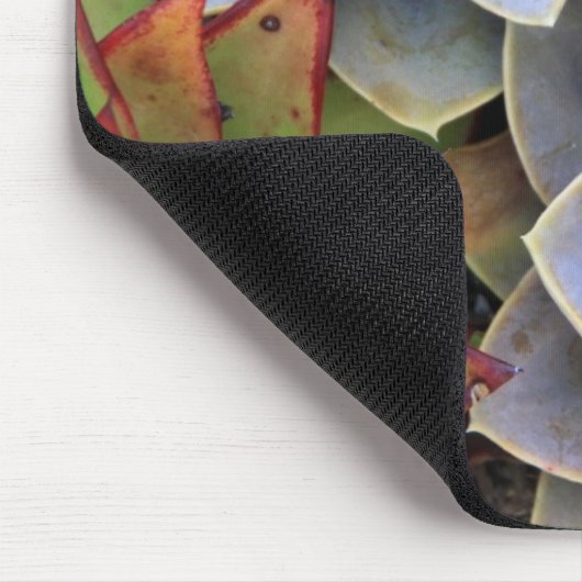 Succulent Bouquet Muismat (Hoek)