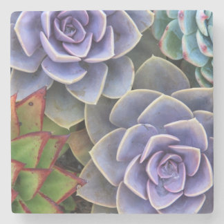 Succulent Bouquet Stenen Onderzetter