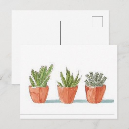 Succulent Briefkaart (Voorkant / Achterkant)