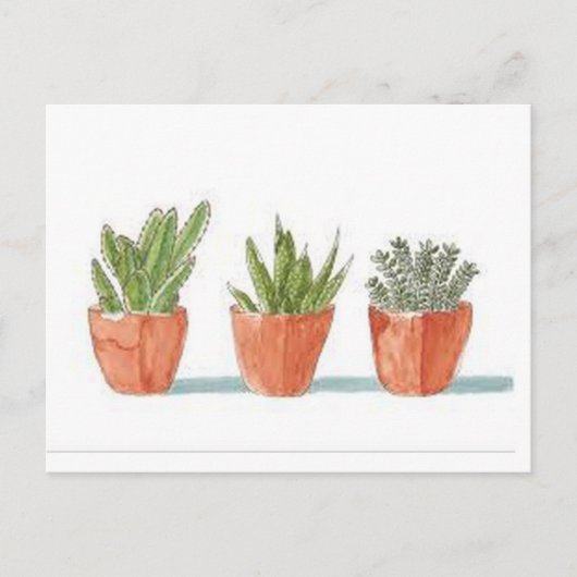 Succulent Briefkaart (Voorkant)