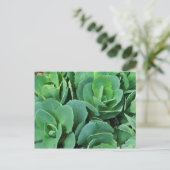 Succulent | briefkaart (Staand voorkant)