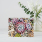 Succulent briefkaart (Staand voorkant)