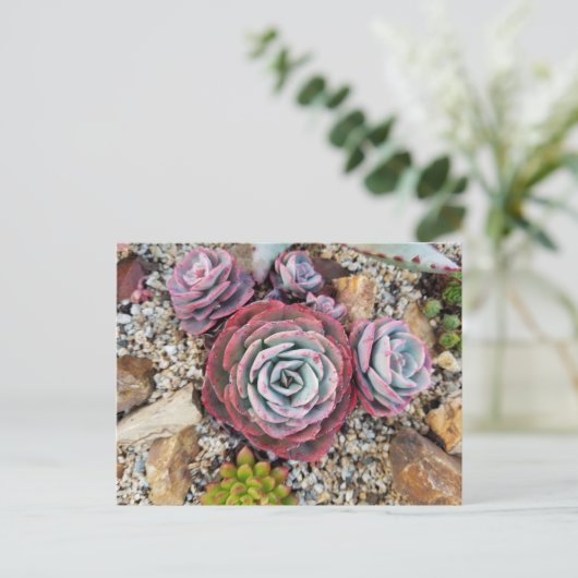 Succulent briefkaart (Staand voorkant)
