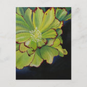 Succulent Briefkaart (Voorkant)