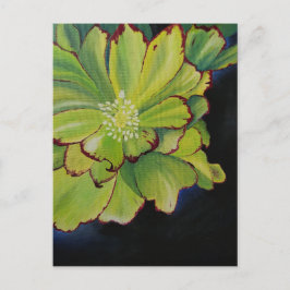 Succulent Briefkaart