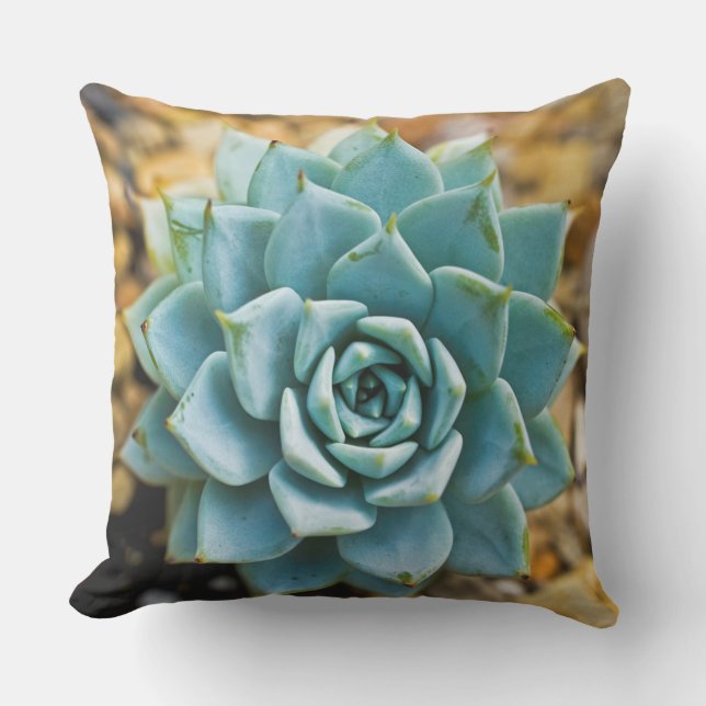 Succulent Buitenkussen (Voorkant)