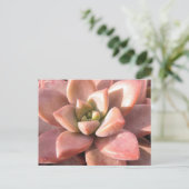 Succulent Cactus Briefkaart (Staand voorkant)