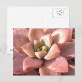 Succulent Cactus Briefkaart (Voorkant / Achterkant)