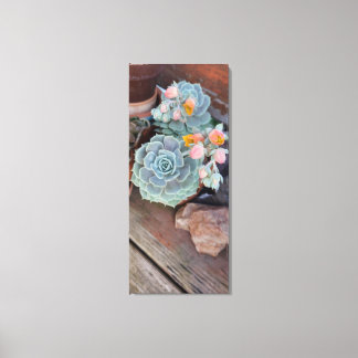 Succulent Cactus Floral Canvas Afdruk