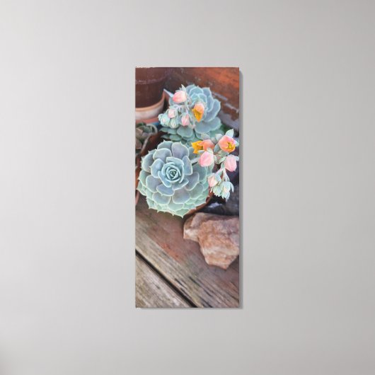Succulent Cactus Floral Canvas Afdruk (Voorkant)