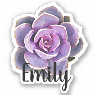 Succulent Cactus Name Sticker