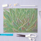 Succulent Cactus Plant Green Glas in lood Art Tissuepapier (Craft)