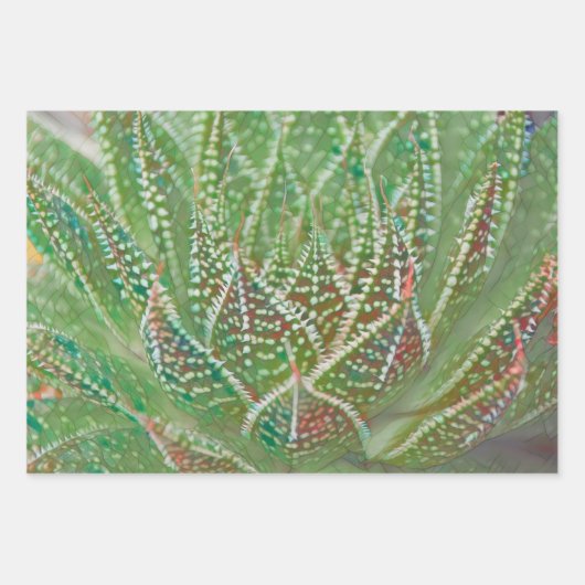 Succulent Cactus Plant Groen Glas in lood Art Inpakpapier Vel (Voorkant 3)