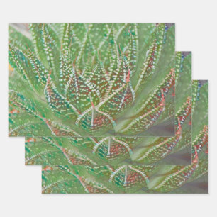 Succulent Cactus Plant Groen Glas in lood Art Inpakpapier Vel