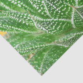 Succulent Cactus Plant Groene Botanische Decoupage Tissuepapier (Detail)