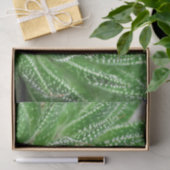 Succulent Cactus Plant Groene Botanische Decoupage Tissuepapier (Geschenk)