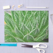 Succulent Cactus Plant Groene Botanische Decoupage Tissuepapier (Craft)