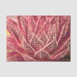 Succulent Cactus Plant Red Botanical Decoupage Tissuepapier