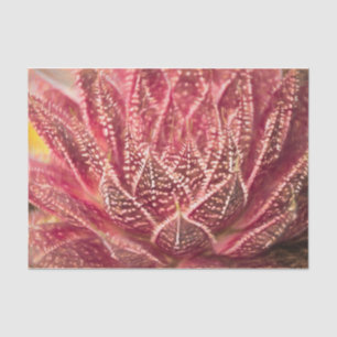 Succulent Cactus Plant Red Botanical Decoupage Tissuepapier