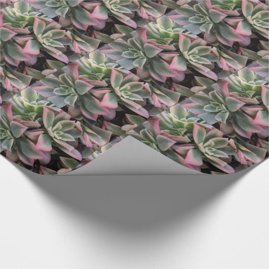 Succulent Cadeaupapier (Hoek)