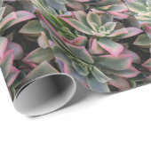 Succulent Cadeaupapier (Rol Hoek)