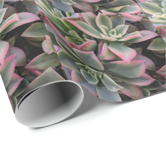Succulent Cadeaupapier (Rol Hoek)