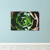 Succulent Canvas Afdruk (Insitu (Houten vloer))