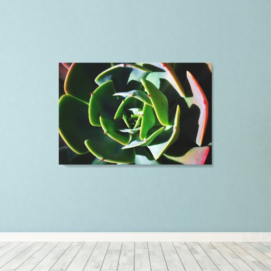 Succulent Canvas Afdruk (Insitu (Houten vloer))