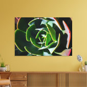 Succulent Canvas Afdruk (Insitu (Woonkamer))