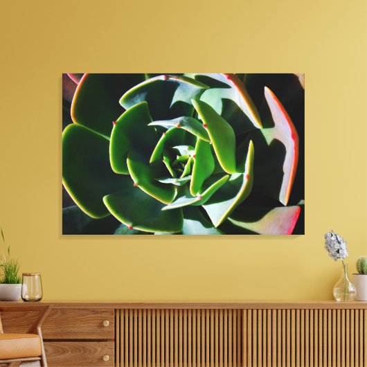 Succulent Canvas Afdruk (Insitu (Woonkamer))