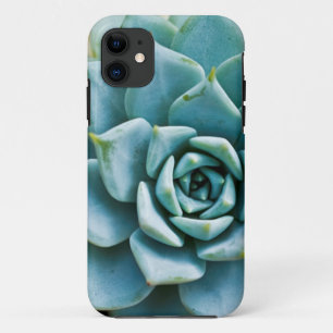 Succulent Case-Mate iPhone Case