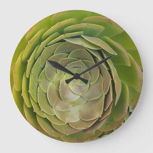 Succulent Clock Grote Klok (Voorkant)