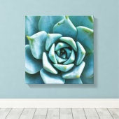 Succulent Closeup Canvas Afdruk (Insitu (Houten vloer))