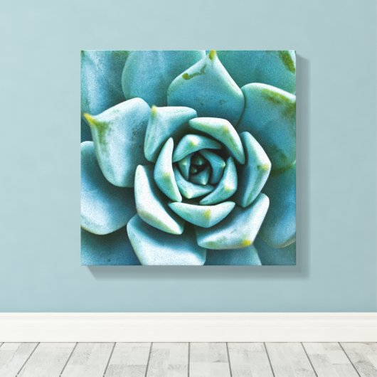 Succulent Closeup Canvas Afdruk (Insitu (Houten vloer))