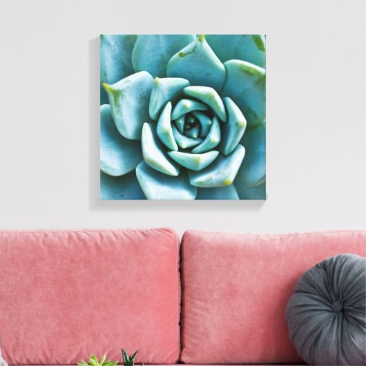 Succulent Closeup Canvas Afdruk (Insitu (Woonkamer))