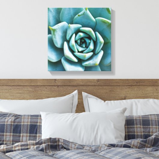 Succulent Closeup Canvas Afdruk (Insitu (Slaapkamer))
