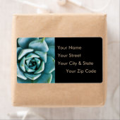 Succulent Closeup Etiket (Insitu)