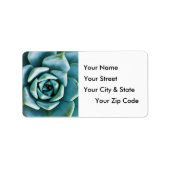 Succulent Closeup Etiket (Voorkant)