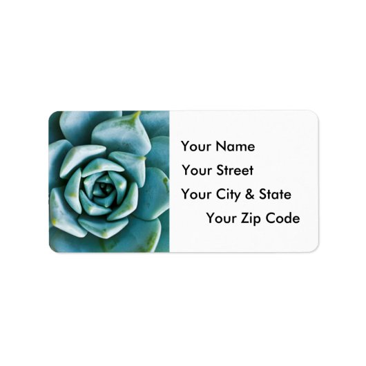 Succulent Closeup Etiket (Voorkant)