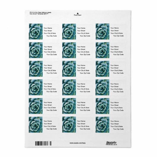 Succulent Closeup Etiket (Full Sheet)