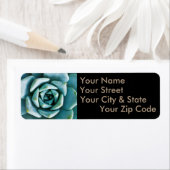 Succulent Closeup Etiket (Insitu)