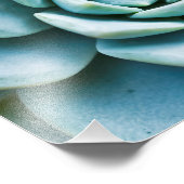 Succulent Closeup Foto Afdruk (Hoek)
