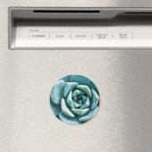 Succulent Closeup Magneet (Insitu (Vaatwasser))