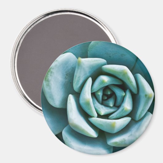 Succulent Closeup Magneet (Voorkant / Achterkant)
