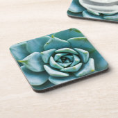 Succulent Closeup Onderzetter (Linkerzijde)