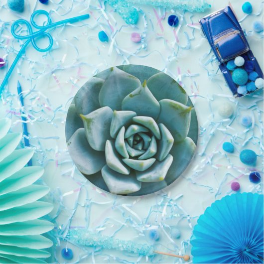 Succulent Closeup Papieren Bordje (Feest)