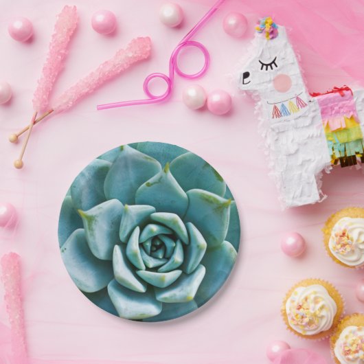 Succulent Closeup Papieren Bordje (Feest)