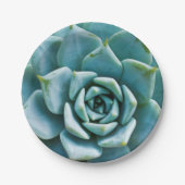 Succulent Closeup Papieren Bordje (Voorkant)