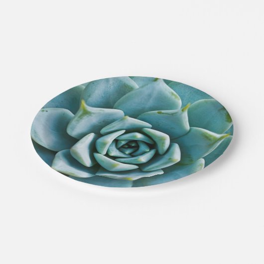 Succulent Closeup Papieren Bordje (Gekanteld)